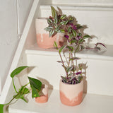 Concrete Pot Set - Small, Medium and Large