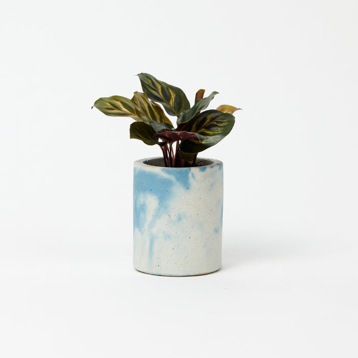 Cylinder Concrete Pot - Small